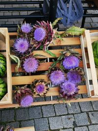 artichokes flower